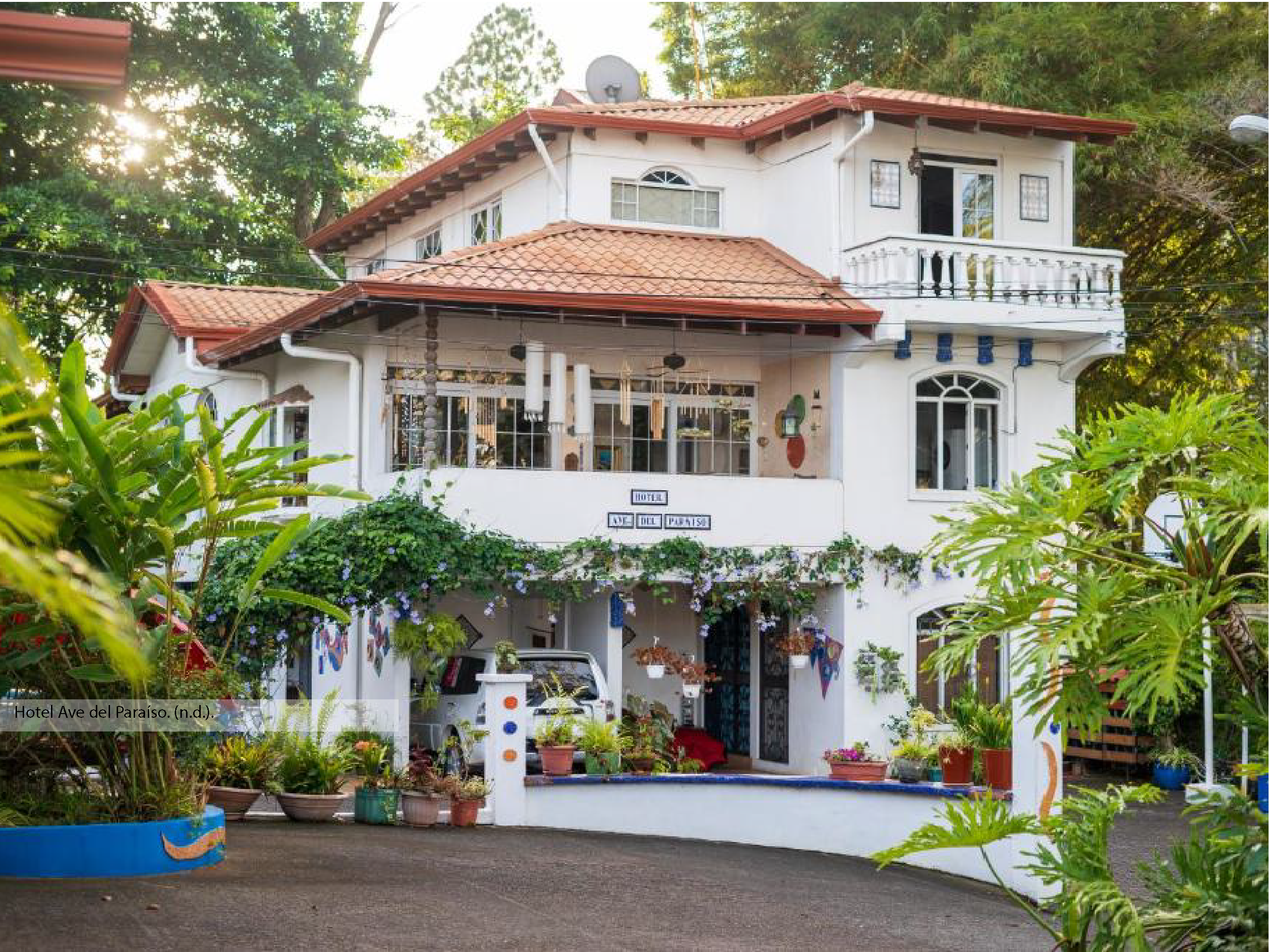 Ave del Paraiso